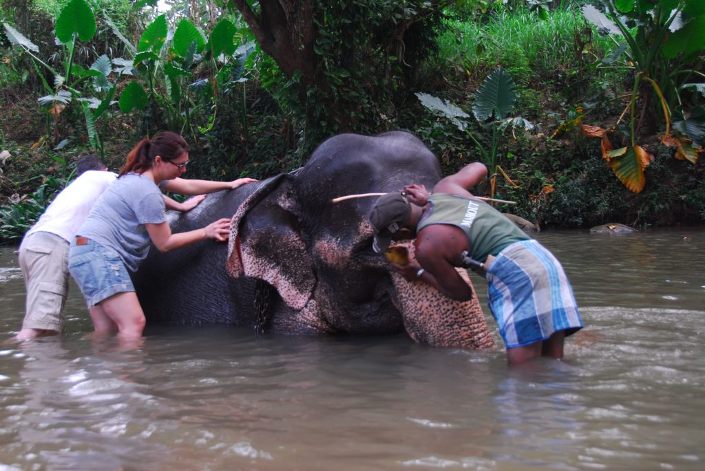 Bath time under Jaya's supervision