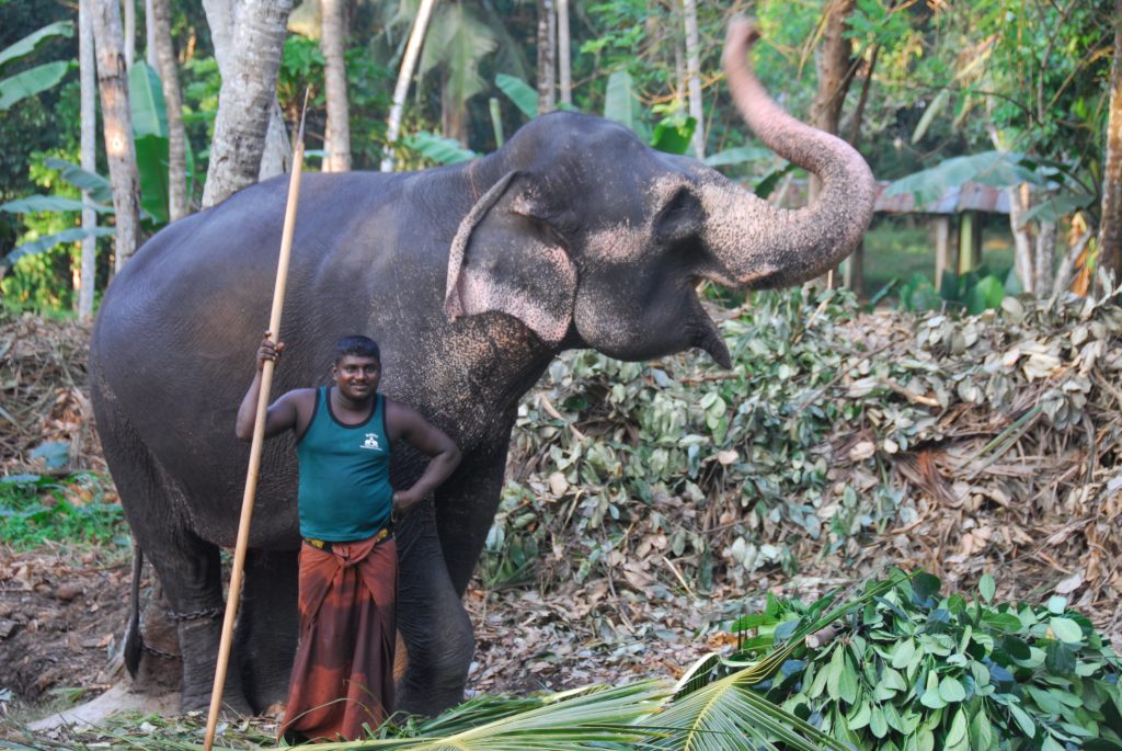 Lakshmi and Kalu, in a rare moment of affection 